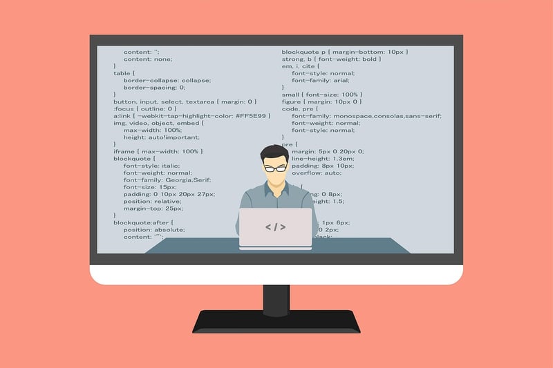 Software Developer